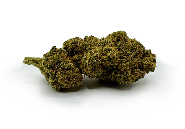 cbd HEC-5 TRUMP shunk