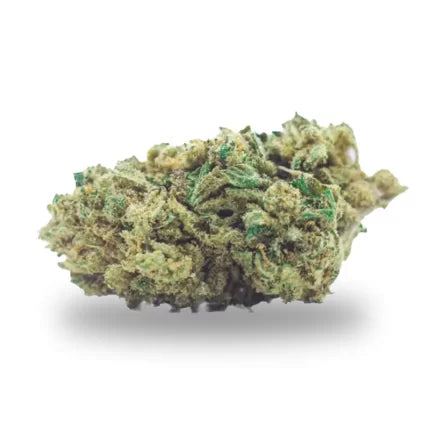 coco bongo