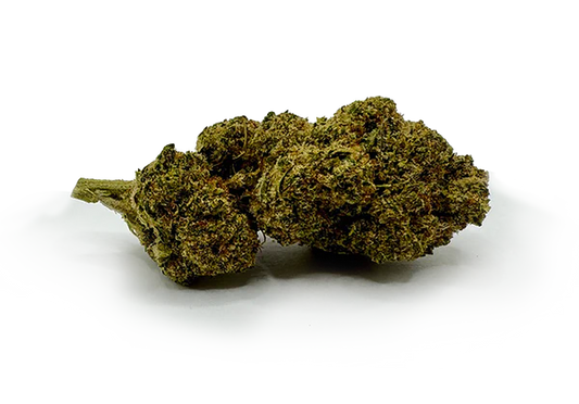 cbd HEC-5 TRUMP shunk