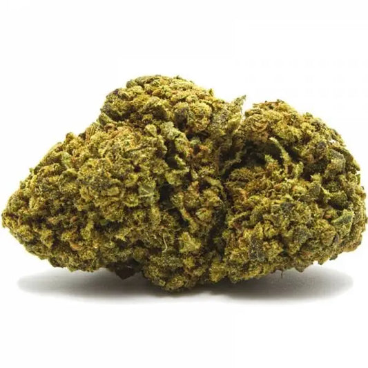 tropical haze